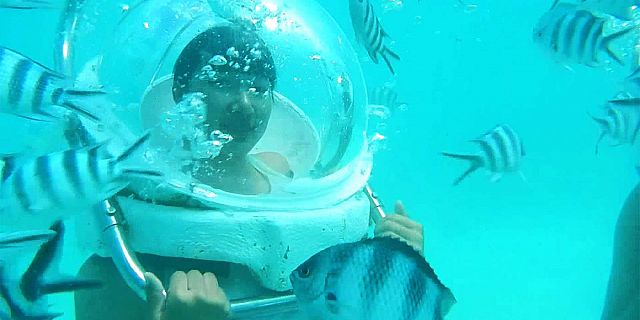 Full day of underwater adventures (8)